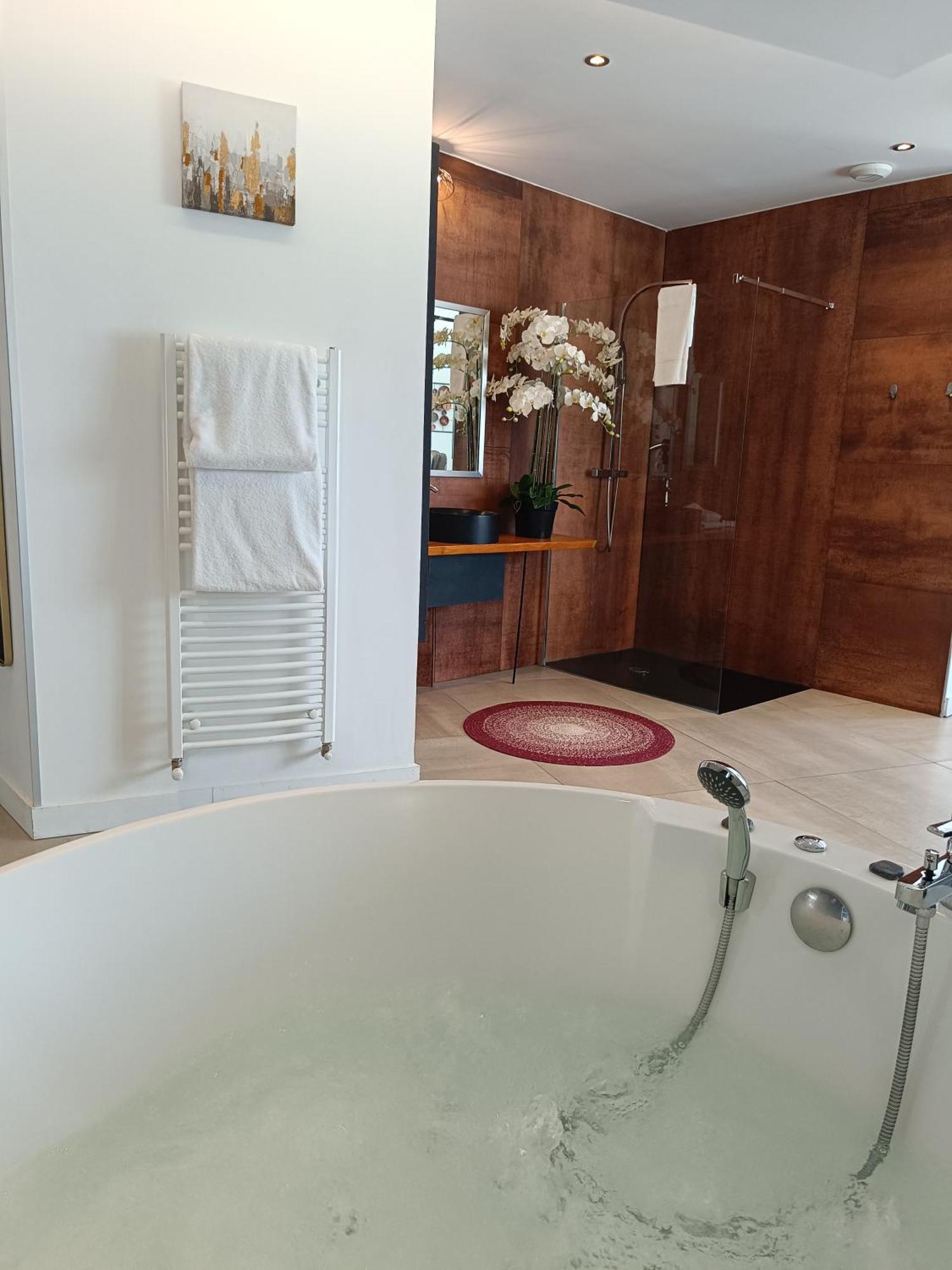 Les Suites De Bougainville コンカルノー エクステリア 写真